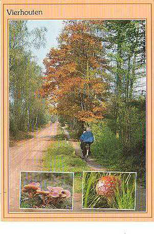 Oude foto's Vierhouten kleur 1